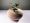 Produktbild mageceramics
